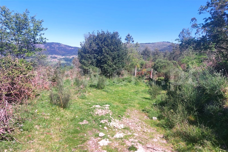Terreno para Construção  Ponte de Lima, Vilar do Monte - 1400495 - 3