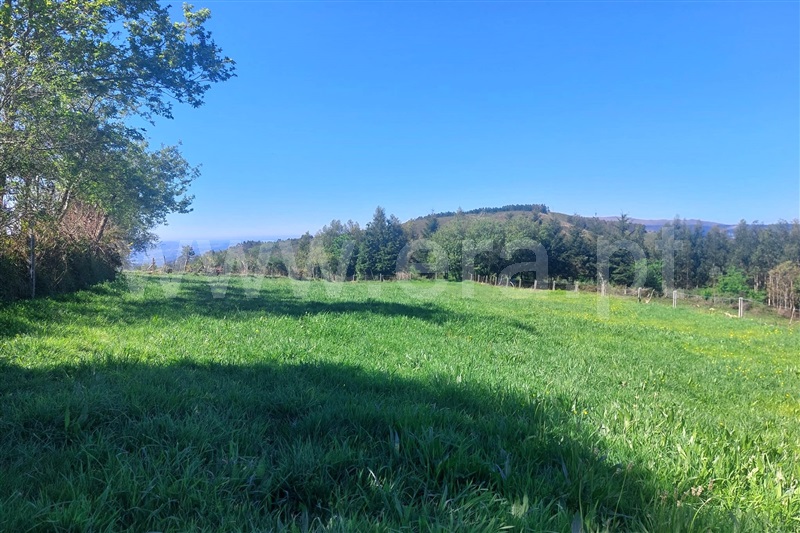 Terreno para Construção  Ponte de Lima, Vilar do Monte - 1400495 - 8