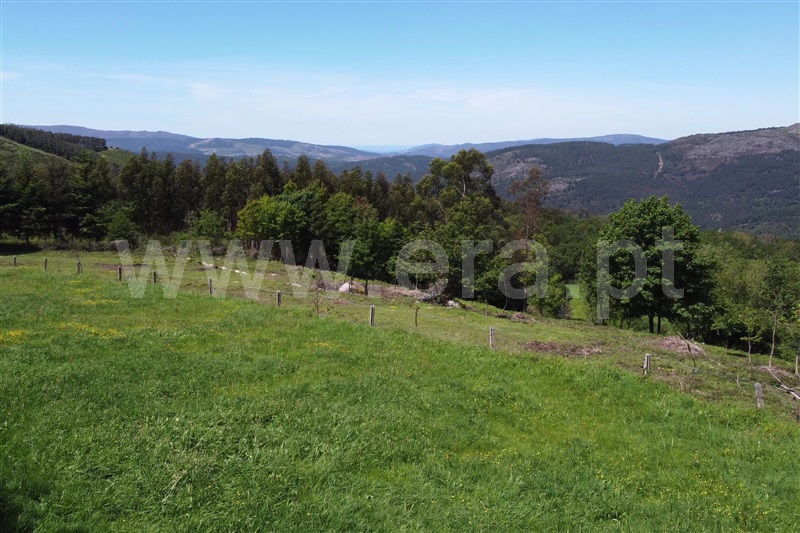 Terreno para Construção / Ponte de Lima, Vilar do Monte