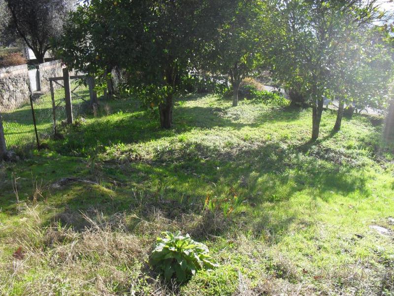 Terreno para Construção  Ponte de Lima, Vitorino dos Piães - 753966 - 3