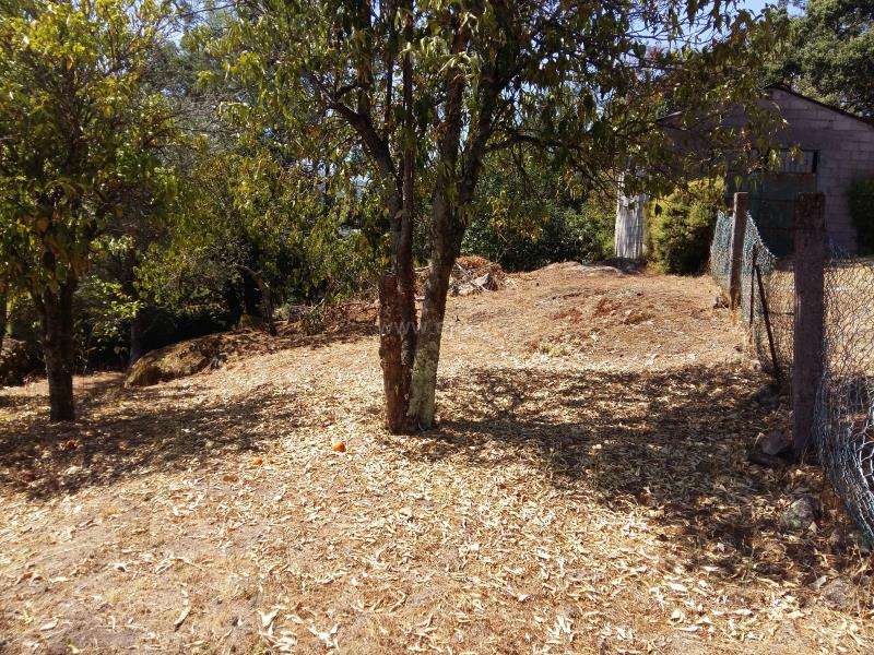 Terreno para Construção  Ponte de Lima, Vitorino dos Piães - 753966 - 8