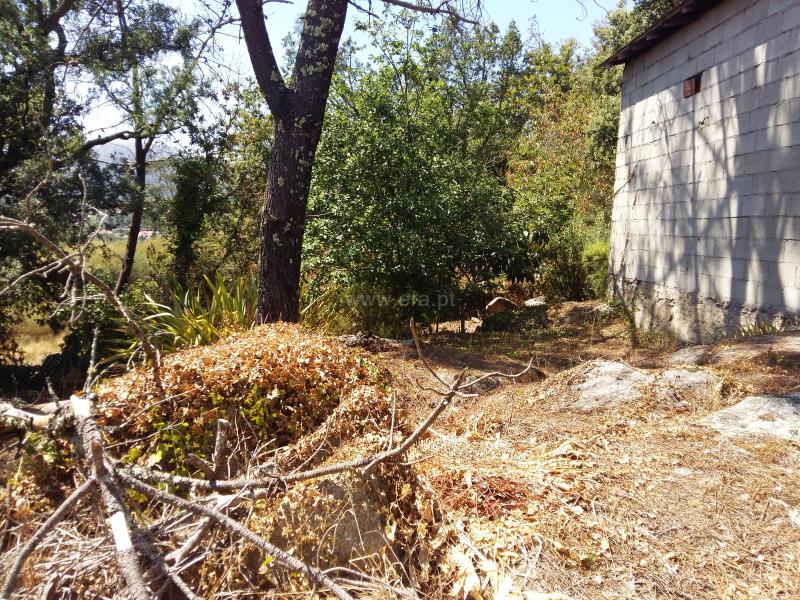 Terreno para Construção  Ponte de Lima, Vitorino dos Piães - 753966 - 9