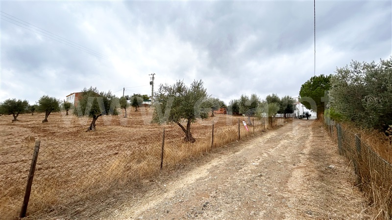 Terreno para Construção / Portel, Amieira e Alqueva