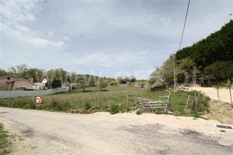 Terreno para Construção  Porto de Mós, Porto de Mós - São João Baptista e São Pedro - 1238066 - 4