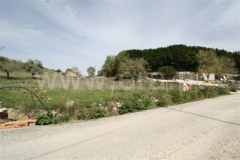 Terreno para Construção  Porto de Mós, Porto de Mós - São João Baptista e São Pedro - 1238066 - 5