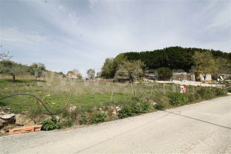 Terreno para Construção  Porto de Mós, Porto de Mós - São João Baptista e São Pedro - 1238066 - 6