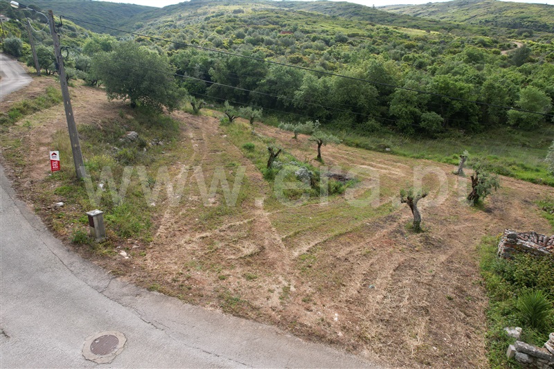 Terreno para Construção  Porto de Mós, Porto de Mós - São João Baptista e São Pedro - 1245232 - 3