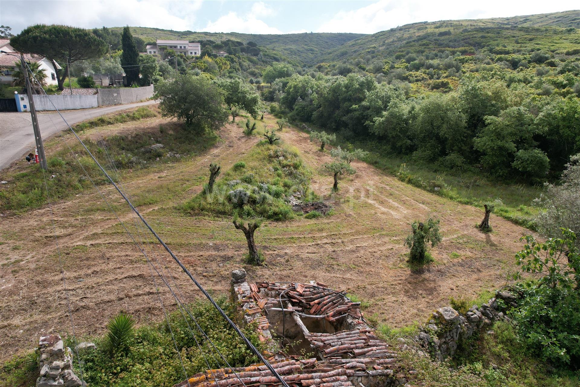 Land for sale in Porto de Mós, Portugal — €58,000