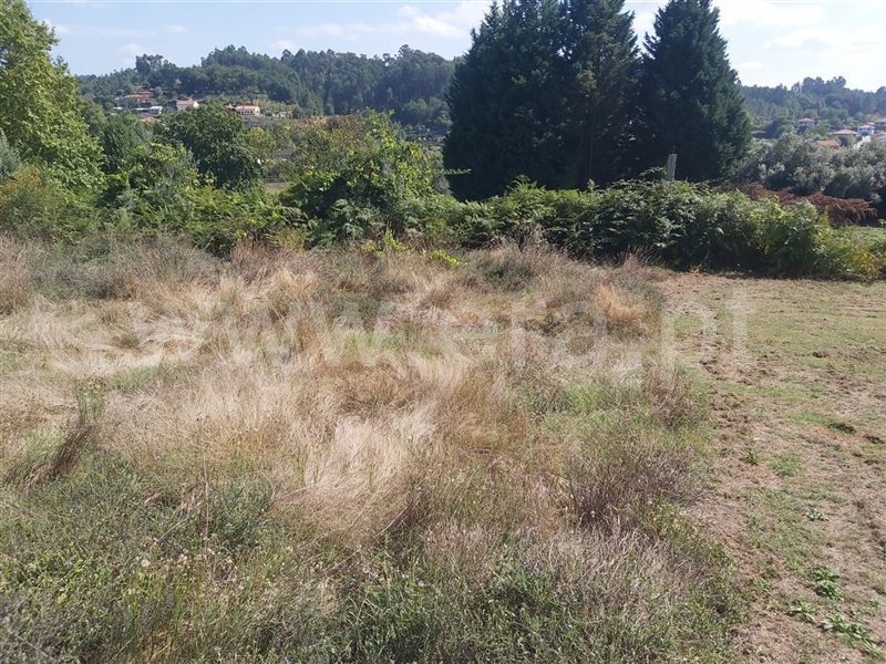 Terreno para Construção  Póvoa de Lanhoso, Calvos e Frades - 1350362 - 3