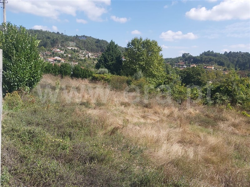 Terreno para Construção  Póvoa de Lanhoso, Calvos e Frades - 1350362 - 4