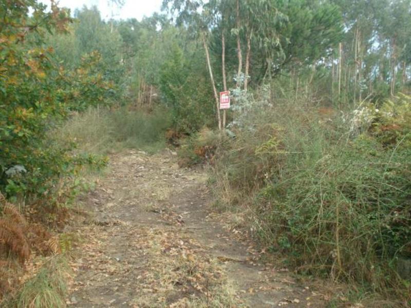 Terreno para Construção  Póvoa de Lanhoso, Campos - 66672 - 13