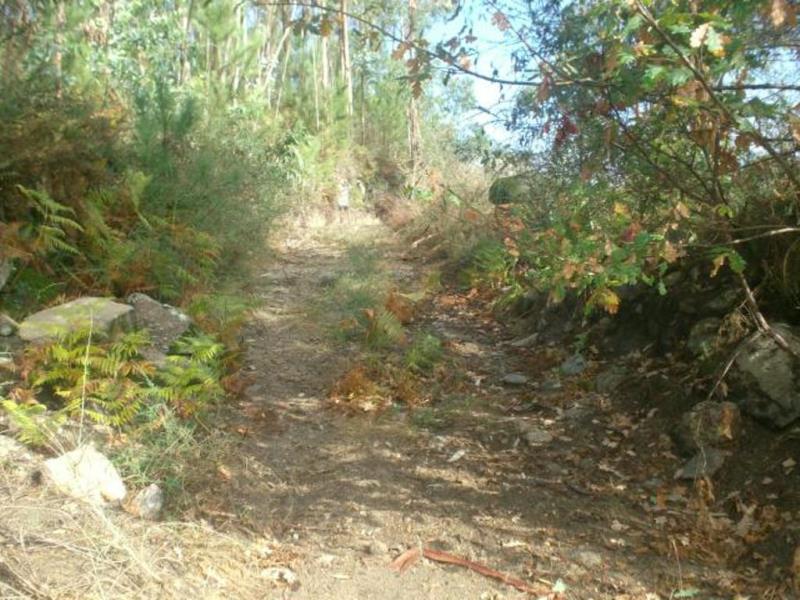 Terreno para Construção  Póvoa de Lanhoso, Campos - 66672 - 2