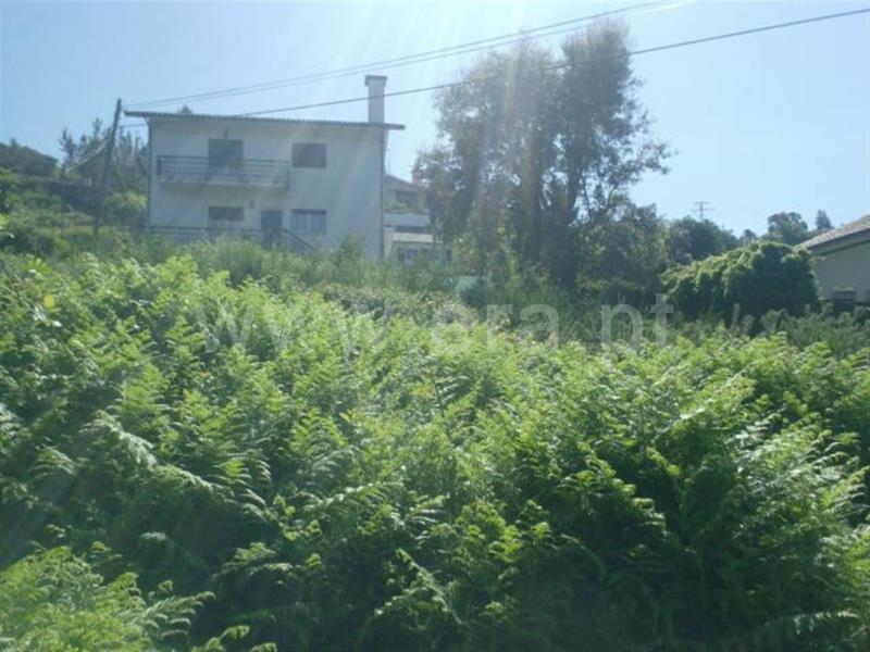 Terreno para Construção  Póvoa de Lanhoso, Centro - 513658 - 4