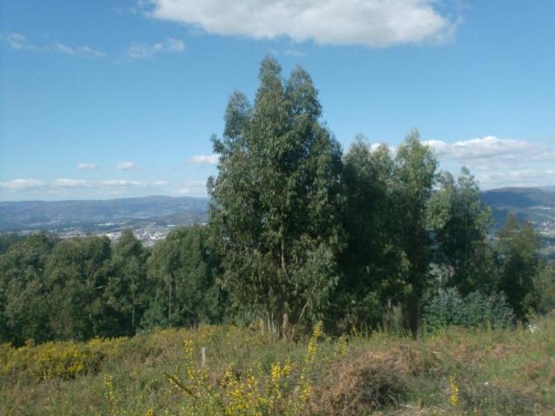 Terreno para Construção  Póvoa de Lanhoso, Rita - 66319 - 6