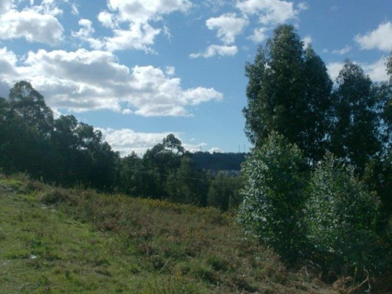 Terreno para Construção  Póvoa de Lanhoso, Rita - 66319 - 4