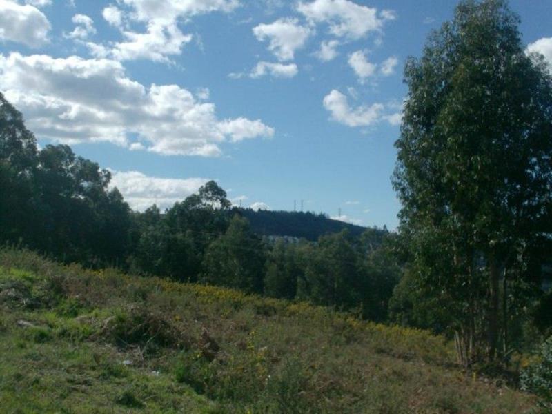 Terreno para Construção  Póvoa de Lanhoso, Rita - 66319 - 5