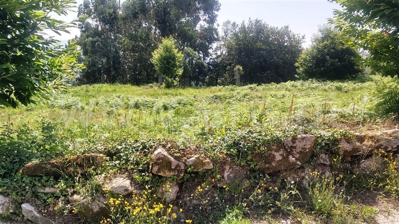 Terreno para Construção  Póvoa de Lanhoso, Lanhoso - 1487989 - 12