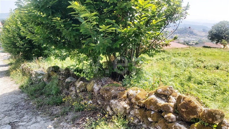 Terreno para Construção  Póvoa de Lanhoso, Lanhoso - 1487989 - 13