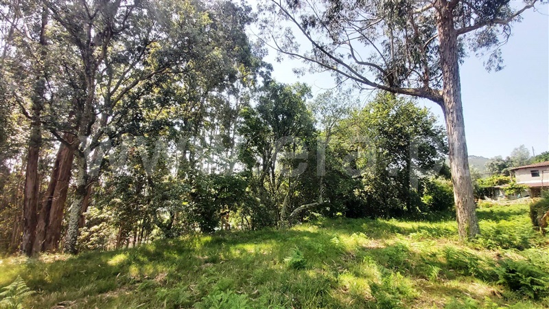 Terreno para Construção  Póvoa de Lanhoso, Lanhoso - 1488000 - 3