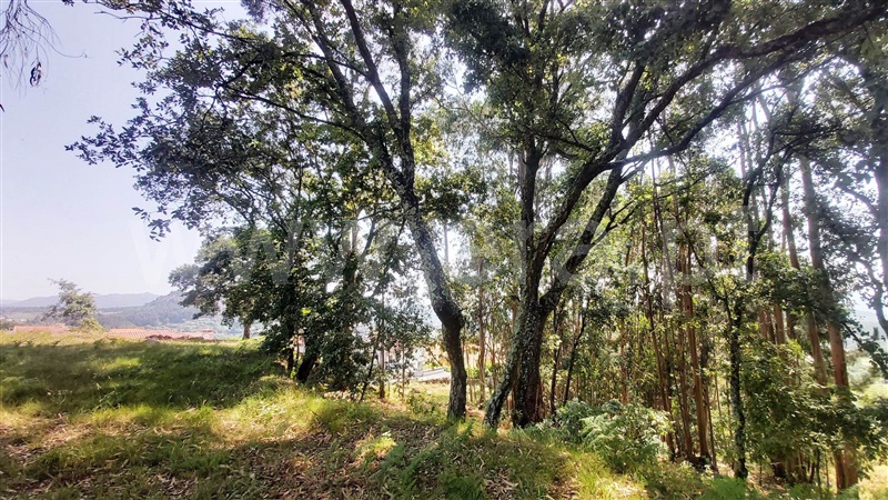 Terreno para Construção  Póvoa de Lanhoso, Lanhoso - 1488000 - 6