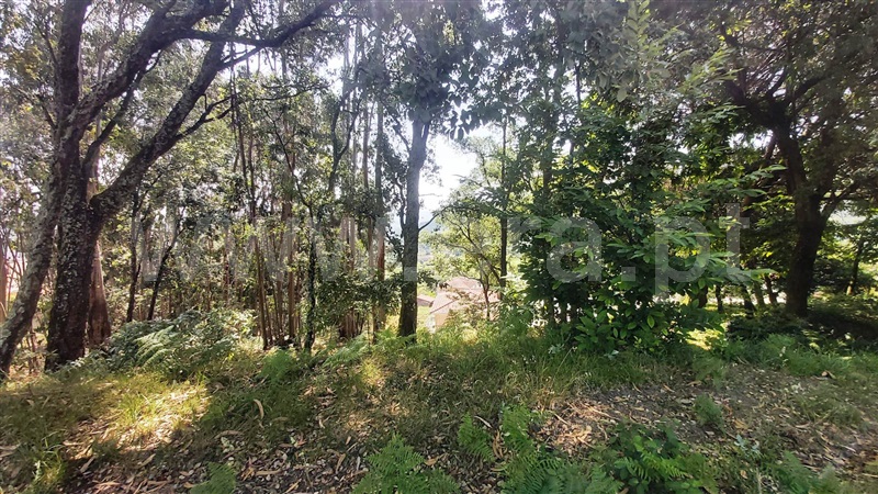 Terreno para Construção  Póvoa de Lanhoso, Lanhoso - 1488000 - 8