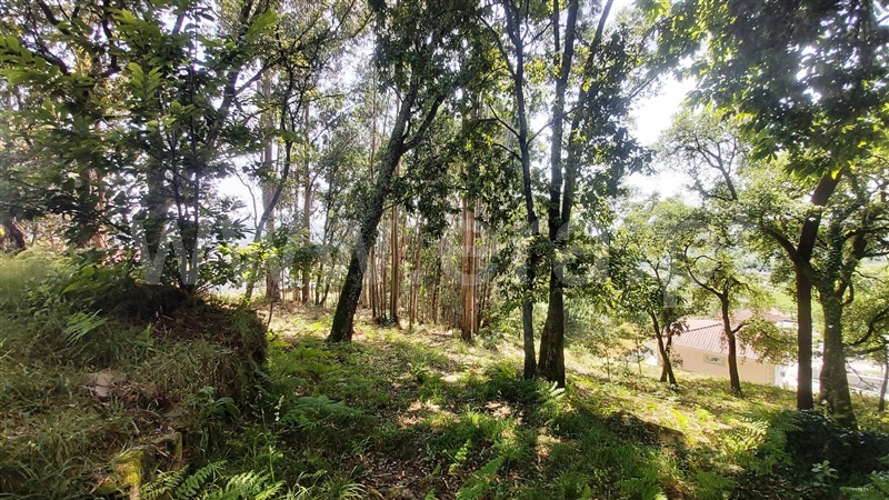 Terreno para Construção  Póvoa de Lanhoso, Lanhoso - 1488000 - 9