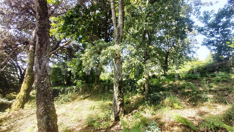 Terreno para Construção  Póvoa de Lanhoso, Lanhoso - 1488000 - 11