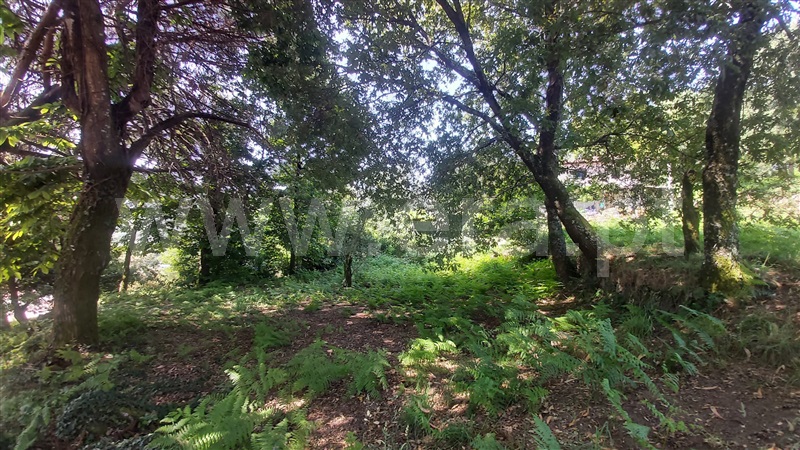 Terreno para Construção  Póvoa de Lanhoso, Lanhoso - 1488000 - 15