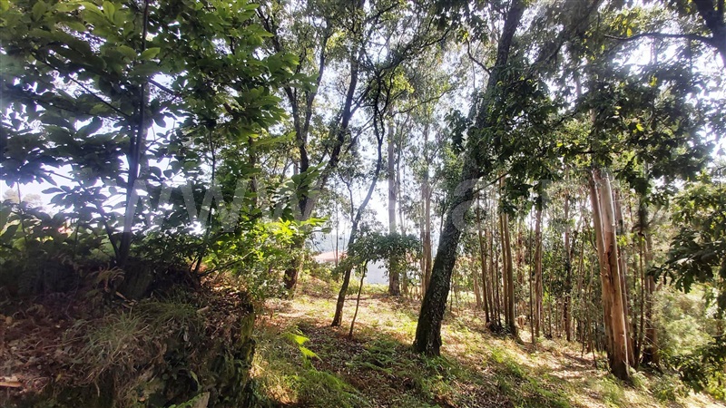 Terreno para Construção  Póvoa de Lanhoso, Lanhoso - 1488000 - 17