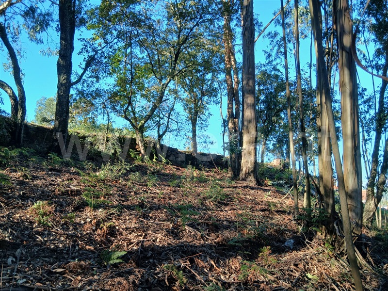 Terreno para Construção / Póvoa de Lanhoso, Lanhoso