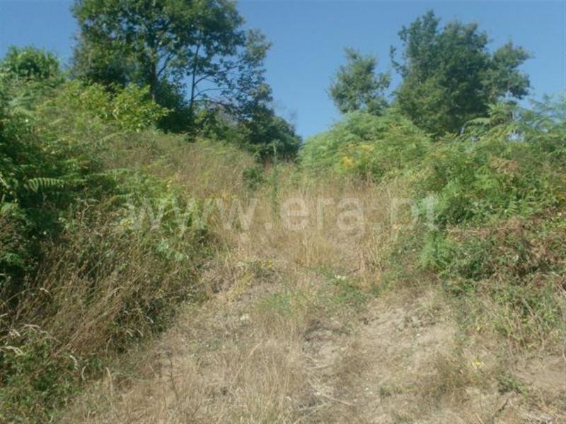 Terreno para Construção  Póvoa de Lanhoso, Lanhoso - 66813 - 2