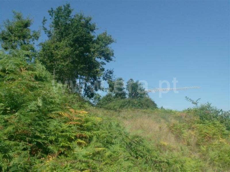 Terreno para Construção  Póvoa de Lanhoso, Lanhoso - 66813 - 6