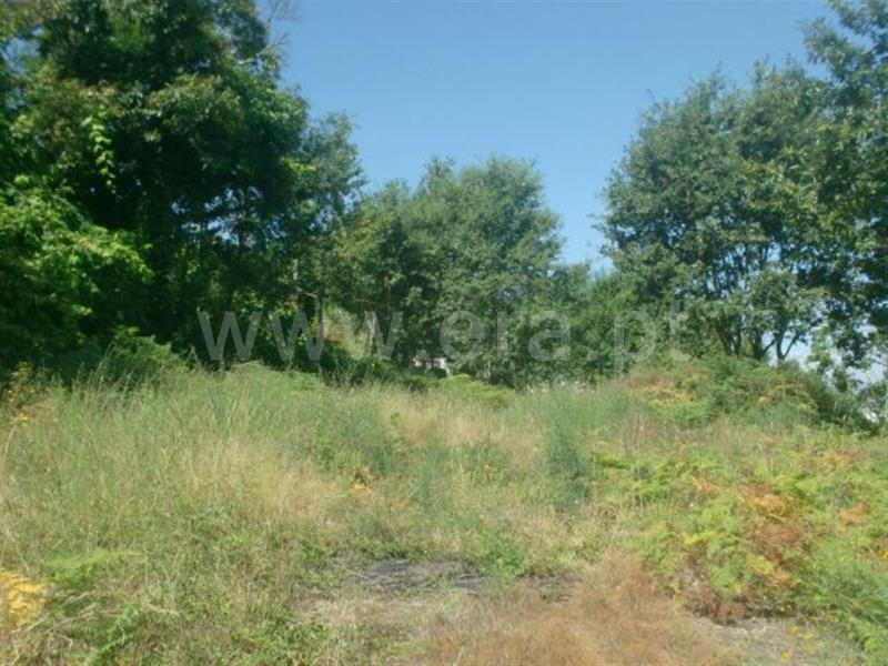 Terreno para Construção / Póvoa de Lanhoso, Lanhoso