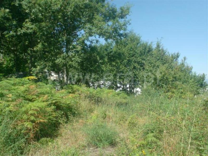 Terreno para Construção  Póvoa de Lanhoso, Lanhoso - 66813 - 7