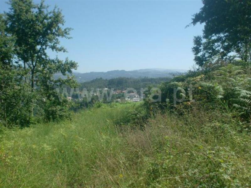Terreno para Construção  Póvoa de Lanhoso, Lanhoso - 66813 - 9
