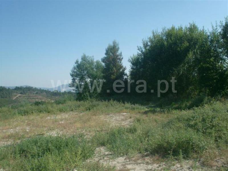 Terreno para Construção  Póvoa de Lanhoso, Rendufinho - 461154 - 3