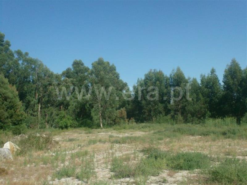 Terreno para Construção  Póvoa de Lanhoso, Rendufinho - 461154 - 4