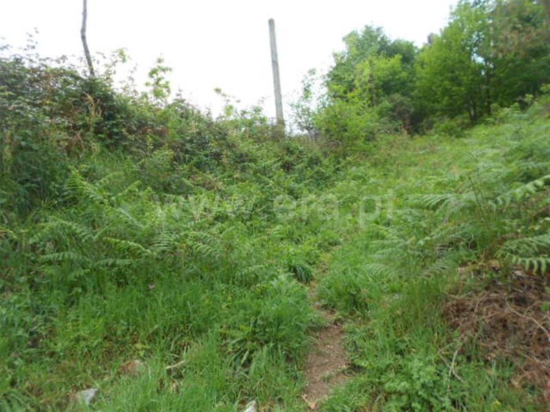 Terreno para Construção  Póvoa de Lanhoso, São João de Rei - 641495 - 2