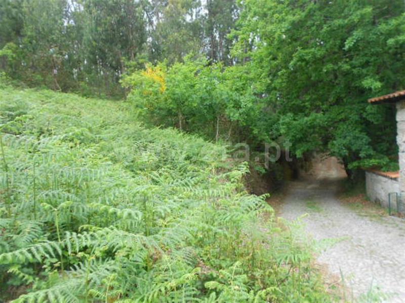 Terreno para Construção  Póvoa de Lanhoso, São João de Rei - 641495 - 3