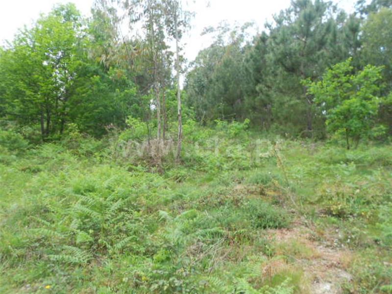 Terreno para Construção  Póvoa de Lanhoso, São João de Rei - 641495 - 5