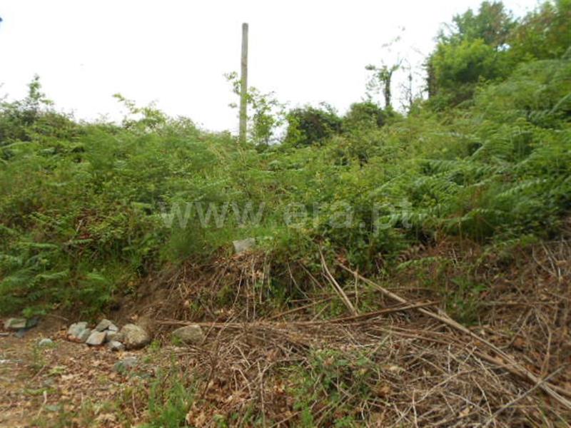Terreno para Construção  Póvoa de Lanhoso, São João de Rei - 641495 - 8