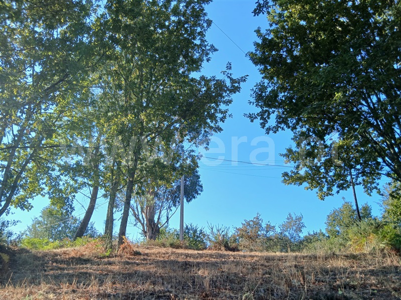 Terreno para Construção  Póvoa de Lanhoso, Taíde - 1071337 - 10