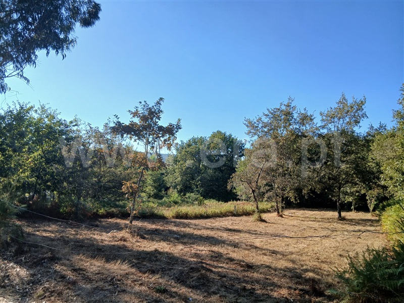 Terreno para Construção  Póvoa de Lanhoso, Taíde - 1501004 - 3