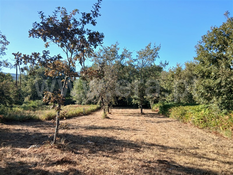 Terreno para Construção  Póvoa de Lanhoso, Taíde - 1501004 - 4