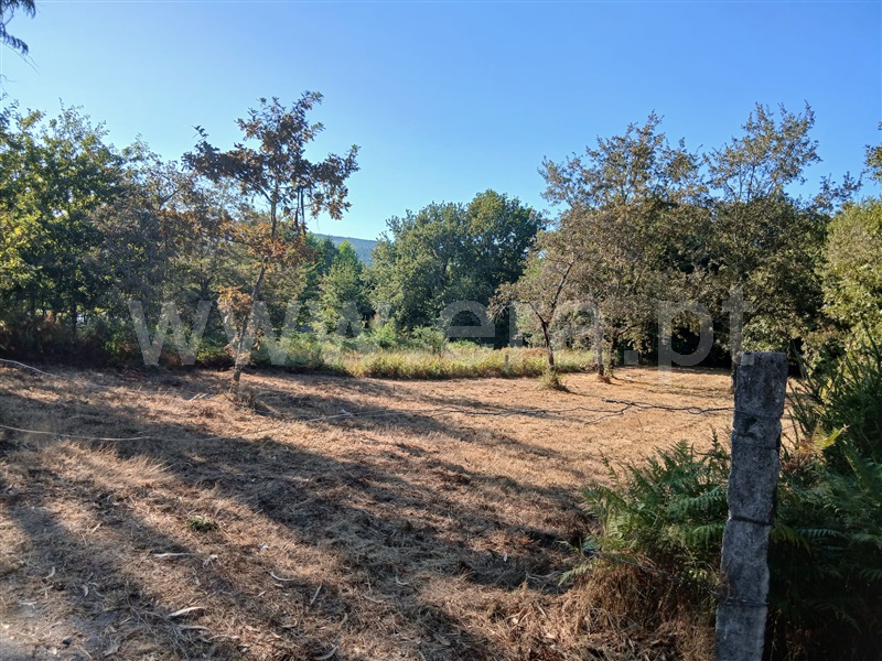 Terreno para Construção  Póvoa de Lanhoso, Taíde - 1501004 - 7