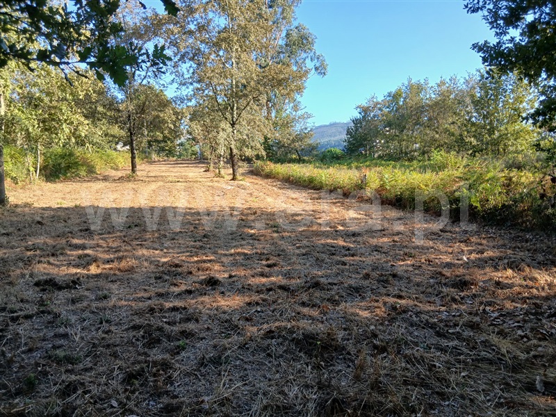 Terreno para Construção  Póvoa de Lanhoso, Taíde - 1501004 - 8