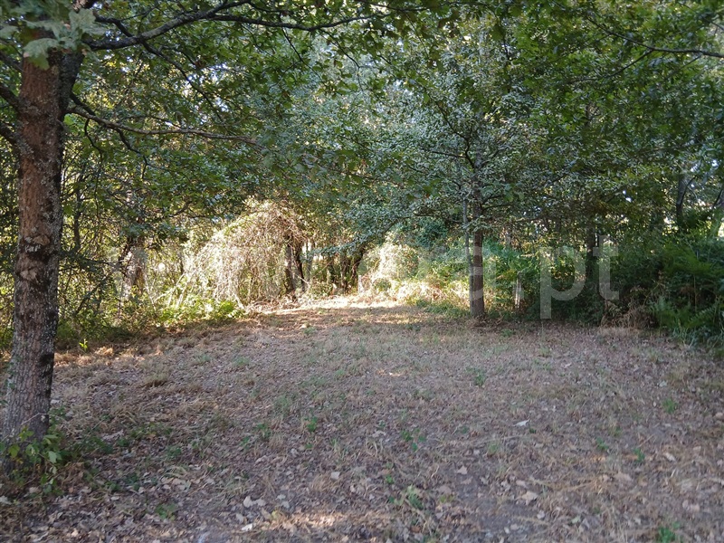 Terreno para Construção  Póvoa de Lanhoso, Taíde - 1501004 - 10
