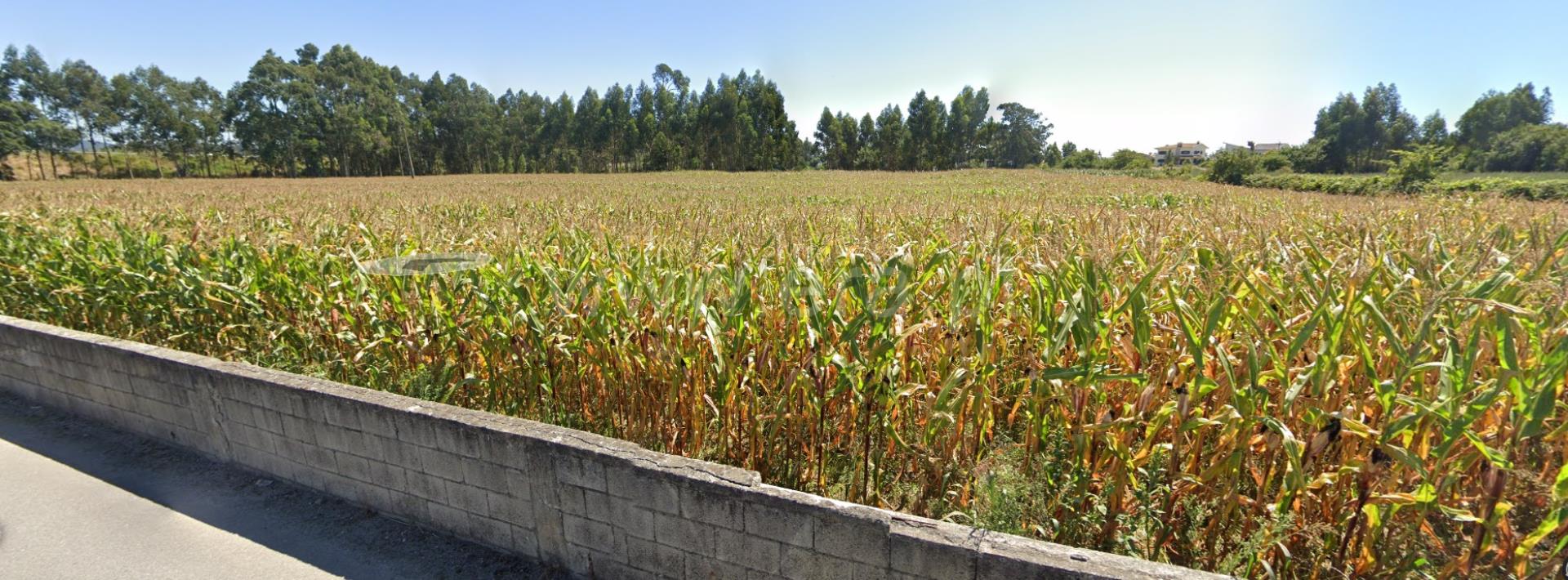 Land for sale in Póvoa de Varzim, Portugal — €1,000,000