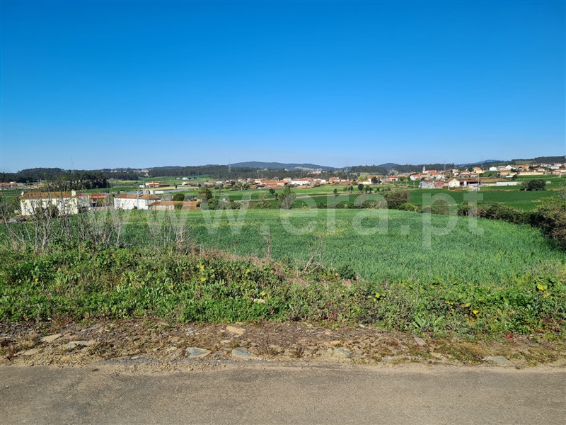 Terreno para Construção  Póvoa de Varzim, Balazar - 1158327 - 5