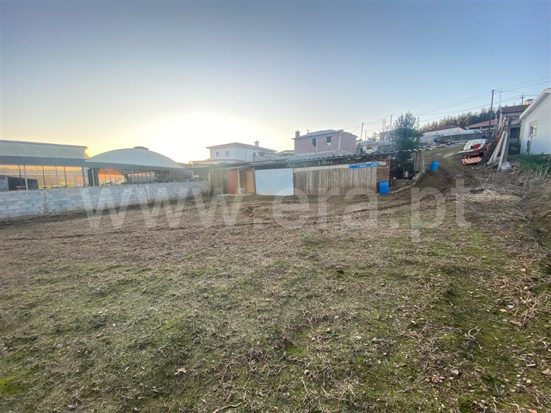 Terreno para Construção / Póvoa de Varzim, Balazar